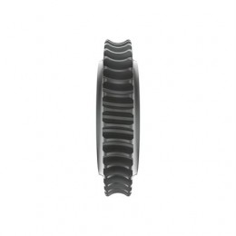 Червяк, Worm Gear, Worm Gear T167011 