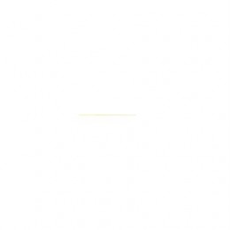 Износостойкая накладка, Wear Plate Z101661 