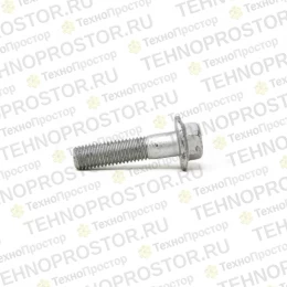 Болт, 29СМ1250