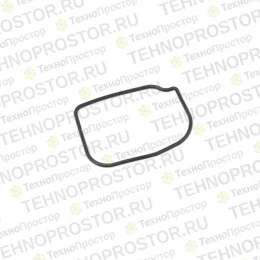 Уплотнительное кольцо, 6666760
