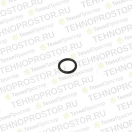 Уплотнительное кольцо, 6704820