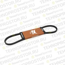 Клиновидный ремень BOBCAT - 6715478