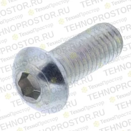 Винт с шестигранным отверстием в головке TENNANT T16 (393135)