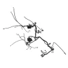 Жгут проводов, Wiring Harness,platform/oos AL162720 