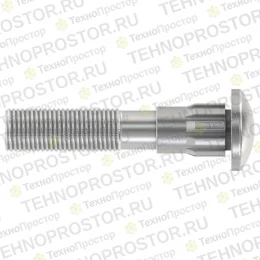 Винт, Screw, Rib Neck M6 X 1.0-6g X 30 H169640