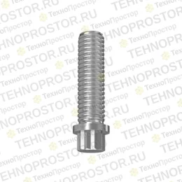 Винт, Screw, Special Cap R100357 
