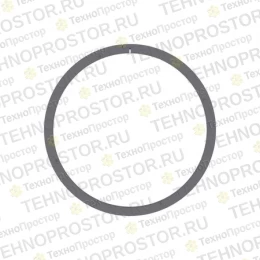 Кольцо, Ring, Sealing R204521 