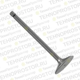 Впускной клапан, Intake Valve,valvula De Admision R504060
