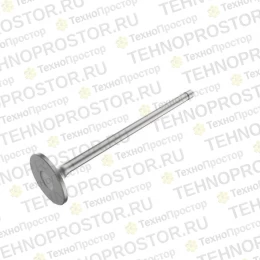 Впускной клапан, Intake Valve, 9.0l Engine R520223 