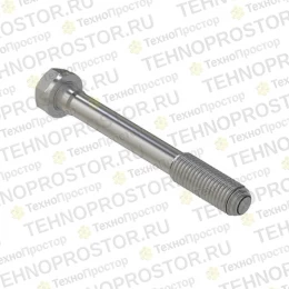 Винт с головкой, Cap Screw, Special Cap R85363