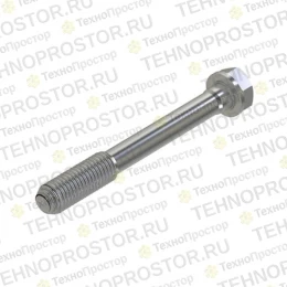 Винт с головкой, Cap Screw, Special Cap R85363