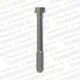 Винт с головкой, Cap Screw, Special Cap R85363