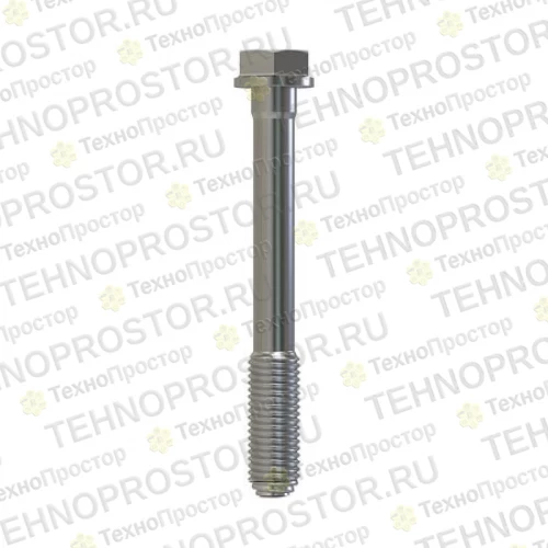 Винт с головкой, Cap Screw, Special Cap R85363 