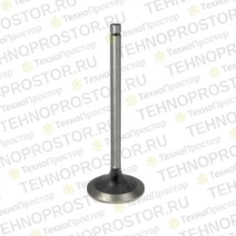 Впускной клапан, Intake Valve R98062 