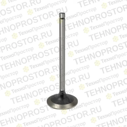 Впускной клапан, Intake Valve R98062 