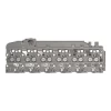 Головка блока цилиндров, Cylinder Head, With Valves RE57489